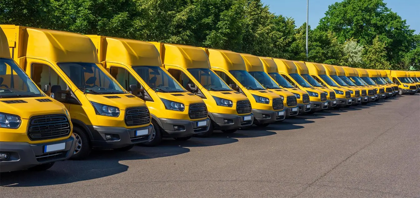 Vehicle and Delivery Options