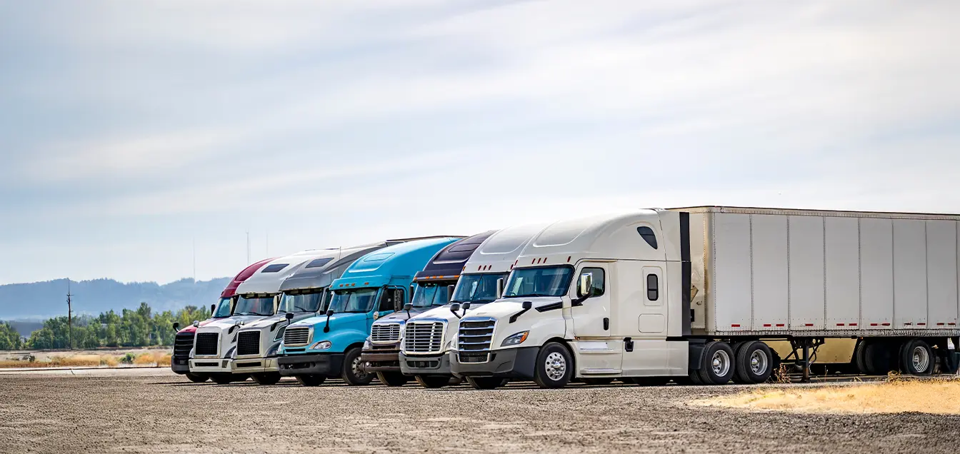 What is LTL Experience