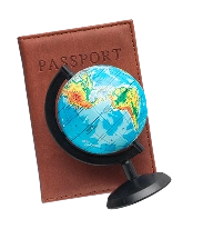 Expert Luggage Logistics for Global Travelers