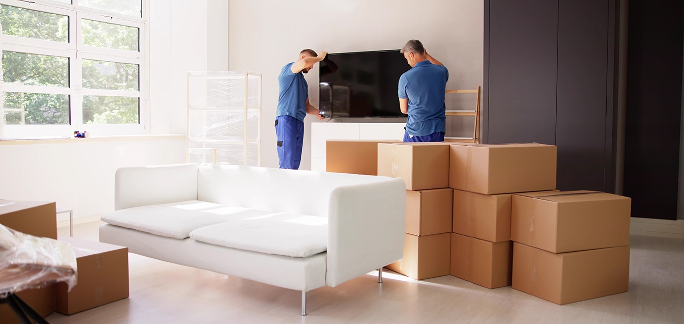 Furniture with Next Day Delivery